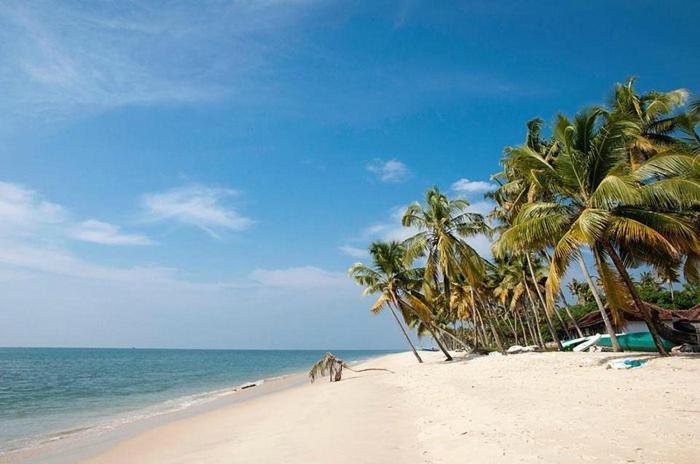 Marari Beach Clleetus Homestay Марарікулем Екстер'єр фото
